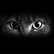 努力努力再努力