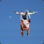 Pig drone!!