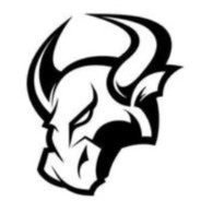 Angry Bull