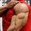 Talek Triceps