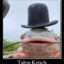Katvis