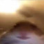willyrobo