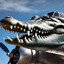 BOMBARDIRO CROCODILO