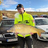 PaPaŠnele