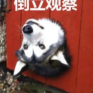 盾立弹死一片123