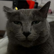 SweetTuz avatar