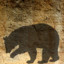 Concept of Bear