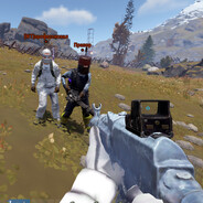 [WT]профессионал