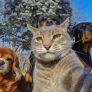 上小学吃饭忘带餐具了