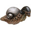 .. .๑ï  snail
