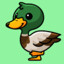 Duck_Man