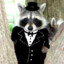 Racoon.CO