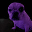 Avatar of blerso