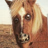 Raggen på havremoppe o supa