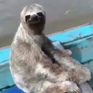 amigo
