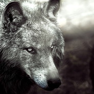 .::VanCtheSter::.