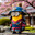¿∞-samurai-∞?