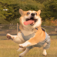 姐姐你守不住B的