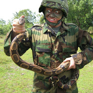 ZergSnake