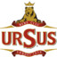 Ursus