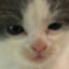 poppypath7's avatar