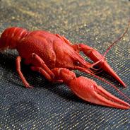 ЕЛДАК ОТЧИМА