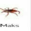 maks
