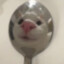 Neitl