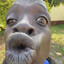 n3rd avatar