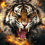 Tiger_017_