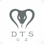 DTS_就不是的会计