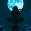 SSHINOBI
