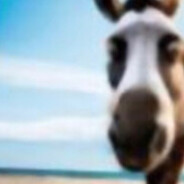 Виталий - steam id 76561199385358128