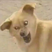 该说痛的年纪你却说着用力