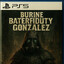 Burine Baterfi