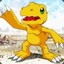 AGUMON #31