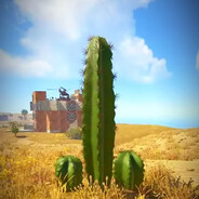 я Тайно Дёрнул