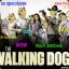 The Walking Doge