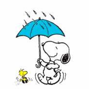 𝘼𝙑𝙄𝘾𝙄𝙄