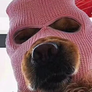 操场上最美的女孩