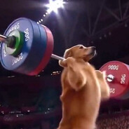 Gym Dawg