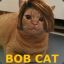 John Bobcat