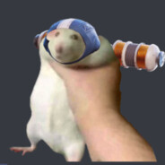 Professional Rat