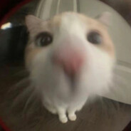 我做的饭很好吃