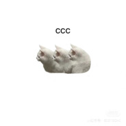 汁汁厚作和牛堡