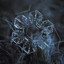 DeadlyWinter