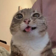 S҉U҉B҉N҉O҉R҉M҉A҉L҉