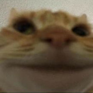 tom12486498214094650943454554638