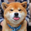 d-_-b Trz3pY