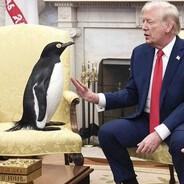 Ultipenguin - steam id 76561197976770463